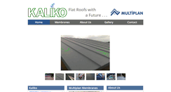 Desktop Screenshot of kalikogroup.co.uk
